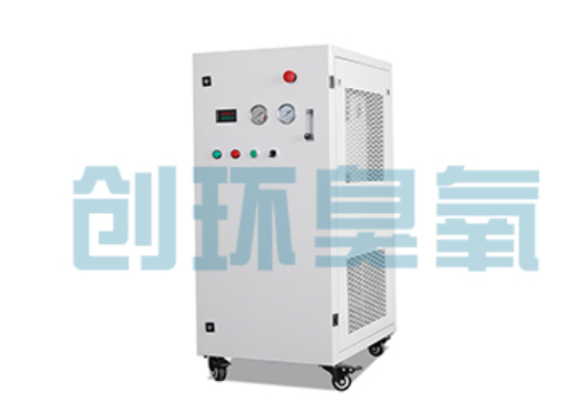 榆林石斑鱼养殖水质调控完整指南:臭氧发生器配置与操作步骤