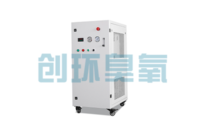 榆林比传统换水更高效?臭氧发生器在石斑鱼养殖中的水质净化原理解析